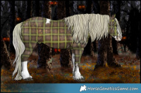 Horse Color:Plaid  Silver Brown Sabino Splash Tobiano 
