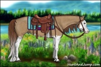 Horse Color:Red Dun Splash  Brindle