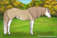 Horse Color:Red Dun Splash  Brindle
