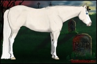 Horse Color:Cremello Splash Brindle