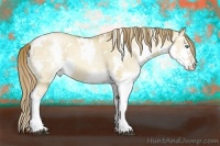 Horse Color:White Spotted Liver Red Dun Pearl Splash  Brindle
