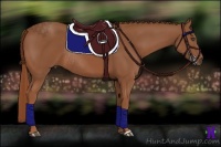 Horse Color:Chestnut Rabicano