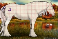 Horse Color:Plaid Cremello Roan Splash Brindle