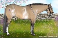 Horse Color:White Spotted Buckskin Dun Frame 