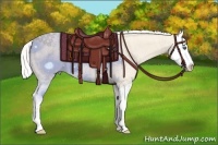 Horse Color:Cremello Splash Brindle