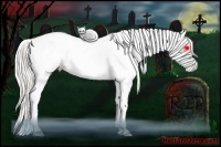 Horse Color:Watercolor Plaid Cremello Dun Splash Appaloosa Brindle