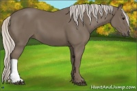 Horse Color:Silver Smoky Black 