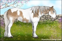 Horse Color:Silver Brown Splash Tobiano 