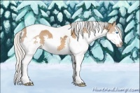 Horse Color:Silver Bay Splash Tobiano 