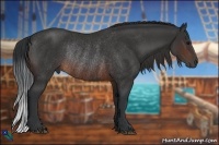 Horse Color:Brown Rabicano 