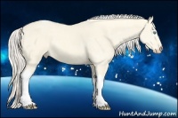 Horse Color:Cremello Dun Tobiano 