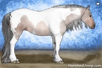 Horse Color:Bay Roan Tobiano 