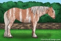 Horse Color:Silver Bay Ice Sabino  Brindle