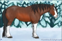 Horse Color:Bay Roan Splash