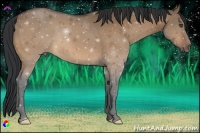 Horse Color:Bay Dun