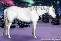 Horse Color:Liver Red Dun Roan Splash Frame Snowflake VarnishRabicano 
