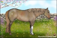 Horse Color:Liver Red Dun 