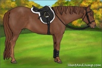 Horse Color:Chestnut Frame