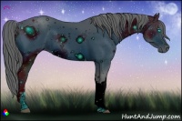 Horse Color:ERROR: UNKNOWN ANOMALY