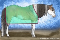 Horse Color:Buckskin Sabino 