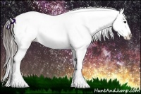 Horse Color:Brown Dun Appaloosa Rabicano