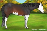 Horse Color:Brown Splash 