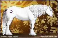 Horse Color:Brown Ice Appaloosa Rabicano Brindle
