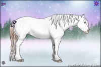 Horse Color:Buckskin Snowcap 