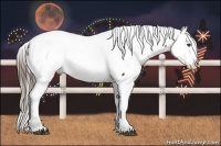 Horse Color:Buckskin Appaloosa 