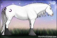 Horse Color:Brown Ice Appaloosa 
