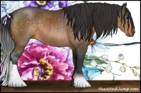 Horse Color:Buckskin Rabicano