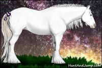 Horse Color:Perlino Ice Splash Appaloosa