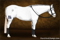 Horse Color:Grullo Roan Pearl Splash Frame Leopard