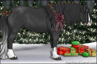 Horse Color:Black Splash 