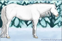 Horse Color:Chocolate Palomino Roan Pearl Splash Tobiano Appaloosa  Brindle