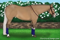 Horse Color:Silver Bay Dun Splash Frame 