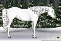 Horse Color:Silver Bay Pearl Dun Tobiano Appaloosa 