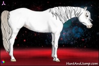 Horse Color:White Spotted Silver Smoky Black