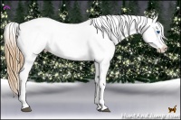 Horse Color:White Spotted Black Pearl Splash Appaloosa