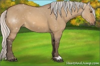 Horse Color:Silver Bay Dun 
