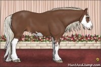 Horse Color:Chestnut Splash Frame