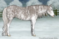 Horse Color:Silver Black Ice Sabino Splash