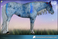 Horse Color:ERROR: UNKNOWN ANOMALY