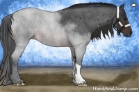 Horse Color:Brown Roan