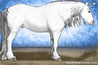 Horse Color:White Spotted Black 