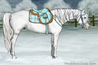 Horse Color:Silver Grullo Ice Splash Appaloosa 