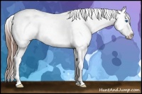 Horse Color:Chestnut Sabino Splash Frame Varnish