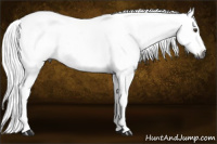 Horse Color:Gray Chestnut Ice