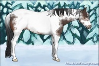 Horse Color:White Spotted Brown Tobiano Frame Rabicano