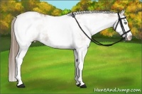 Horse Color:White Spotted Black Pearl Splash Appaloosa Rabicano 